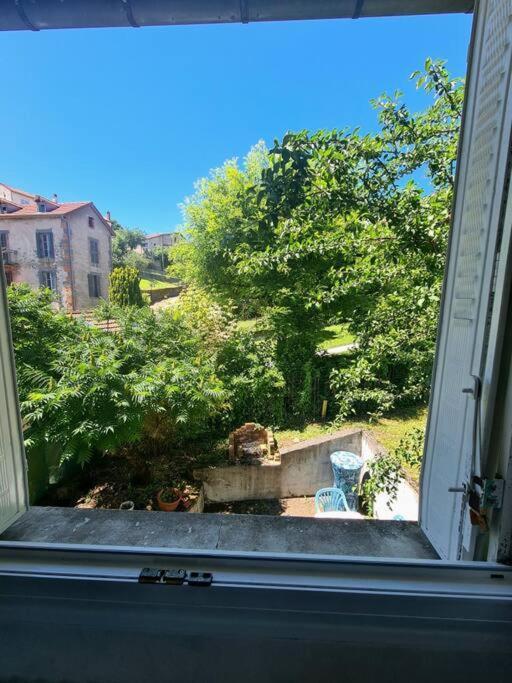 Centre Terrasse Jardin Garage Chez Priscilla * Aurillac
